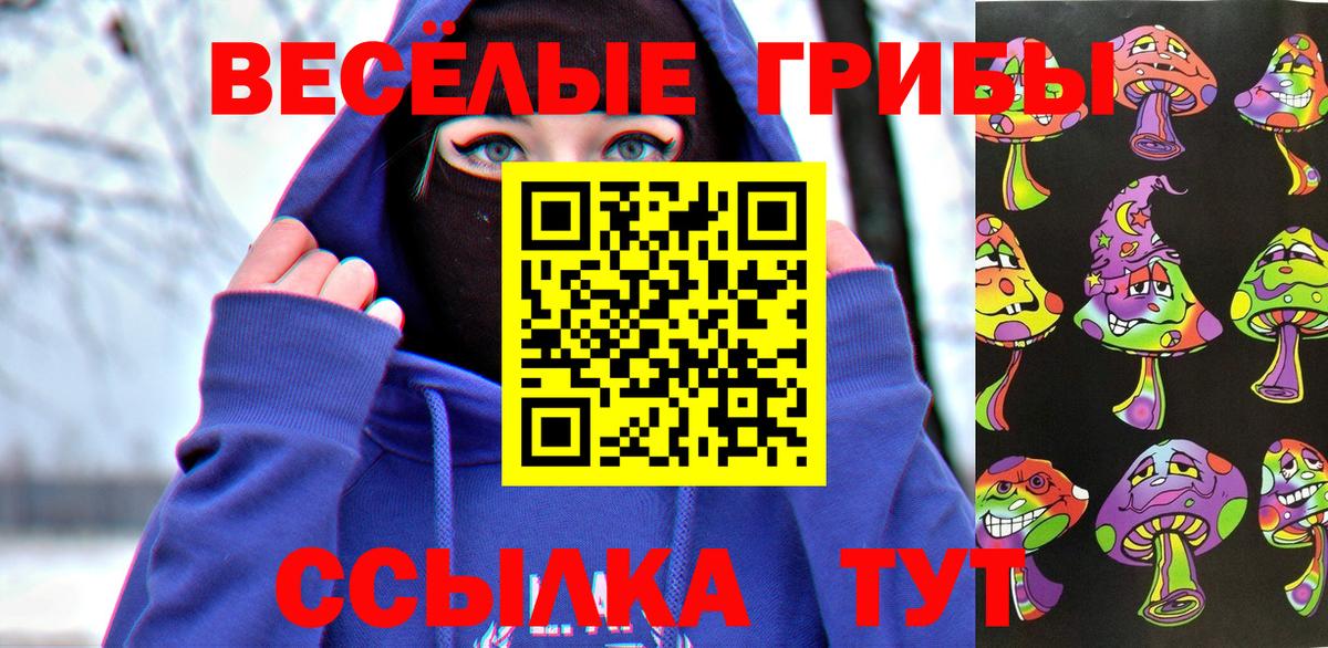Галлюциногенные грибы GOLDEN TEACHER Гай